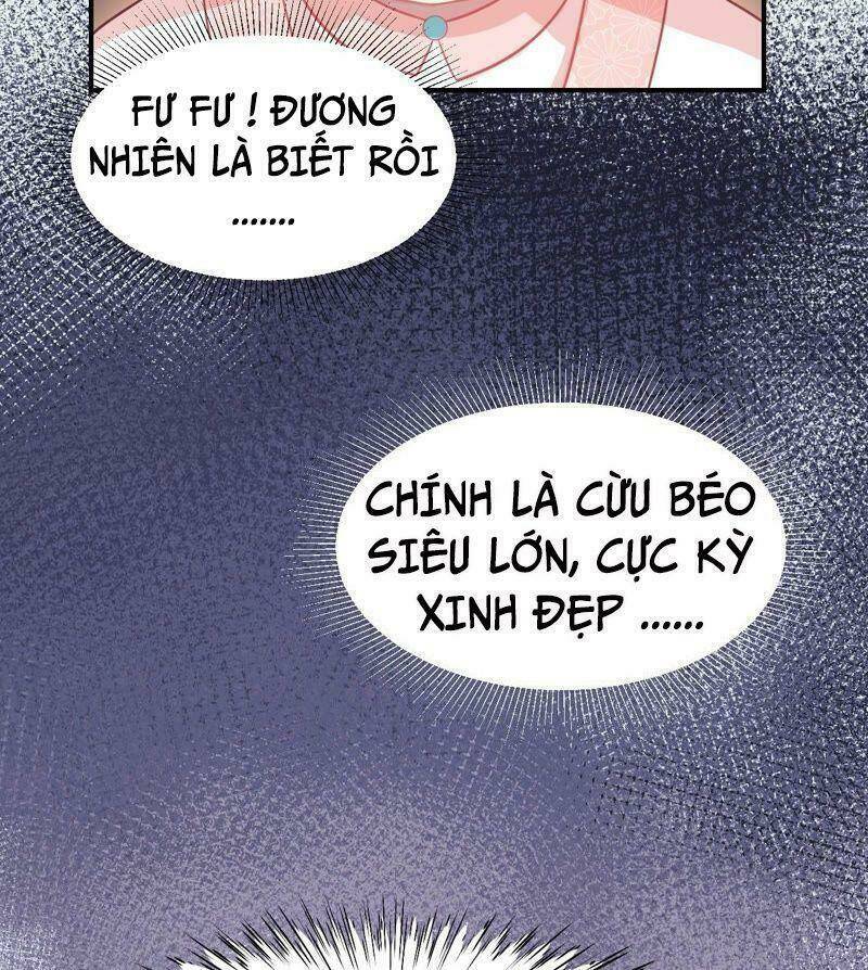 quận chúa vững vàng, thiết lập nhân vật không thể vỡ chapter 2 50