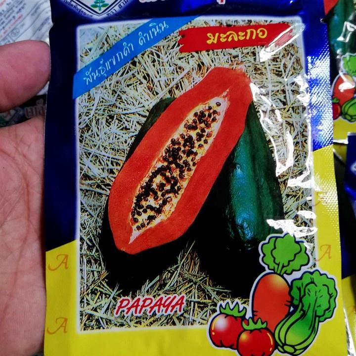 Hạt giống đu đủ siêu ngọt Thái Lan - 1 gói tầm 120 hạt-tặng kèm 1 gói phân bón lót
