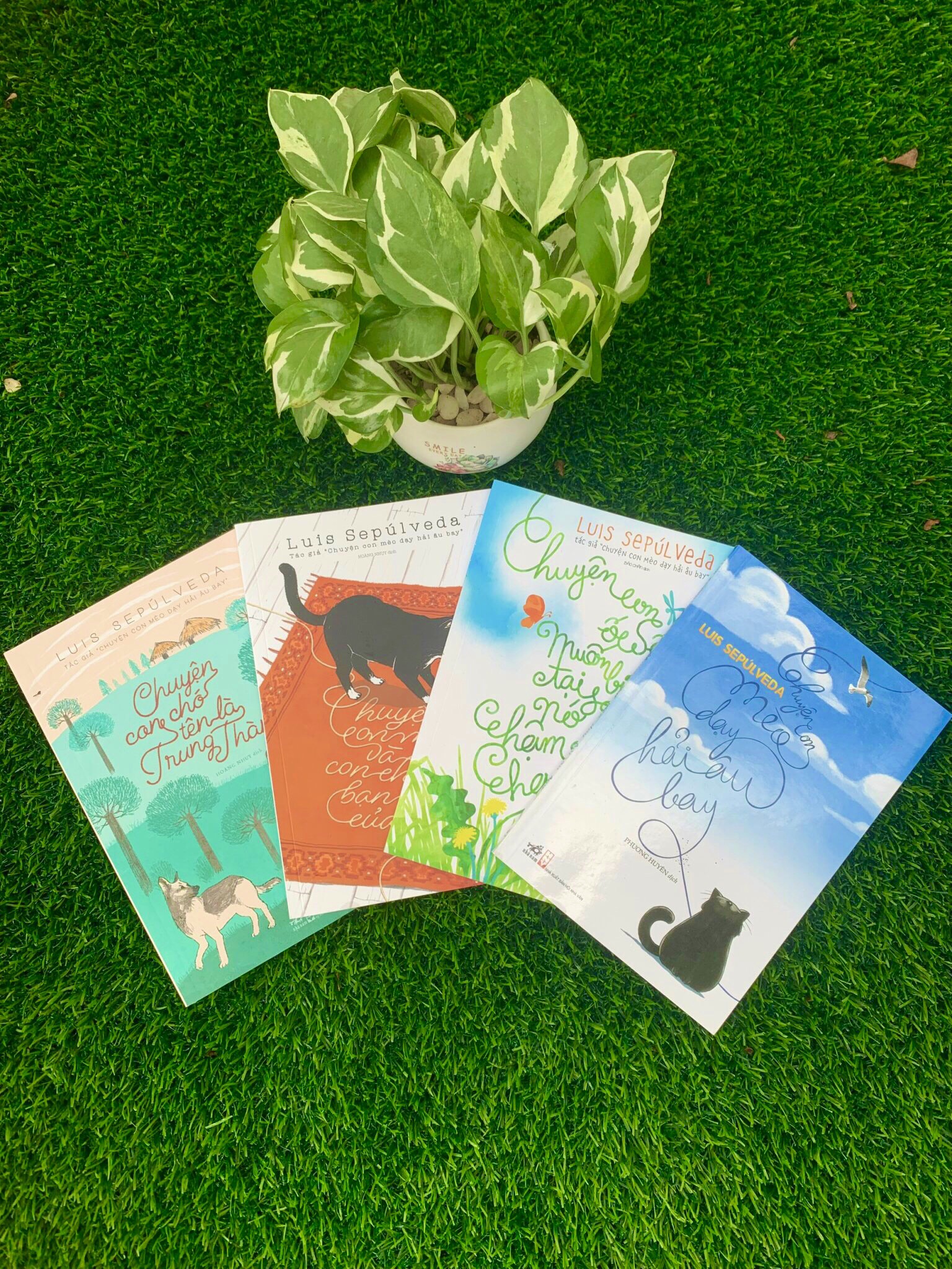 Combo 4 cuốn của Luis Sepulveda: Con mèo dạy hải âu bay + Chuyện con chó tên là Trung thành + Chuyện con mèo và con chuột bạn thân của nó + Chuyện con ốc sên muốn biết tại sao nó chậm chạp - HGBOOKS