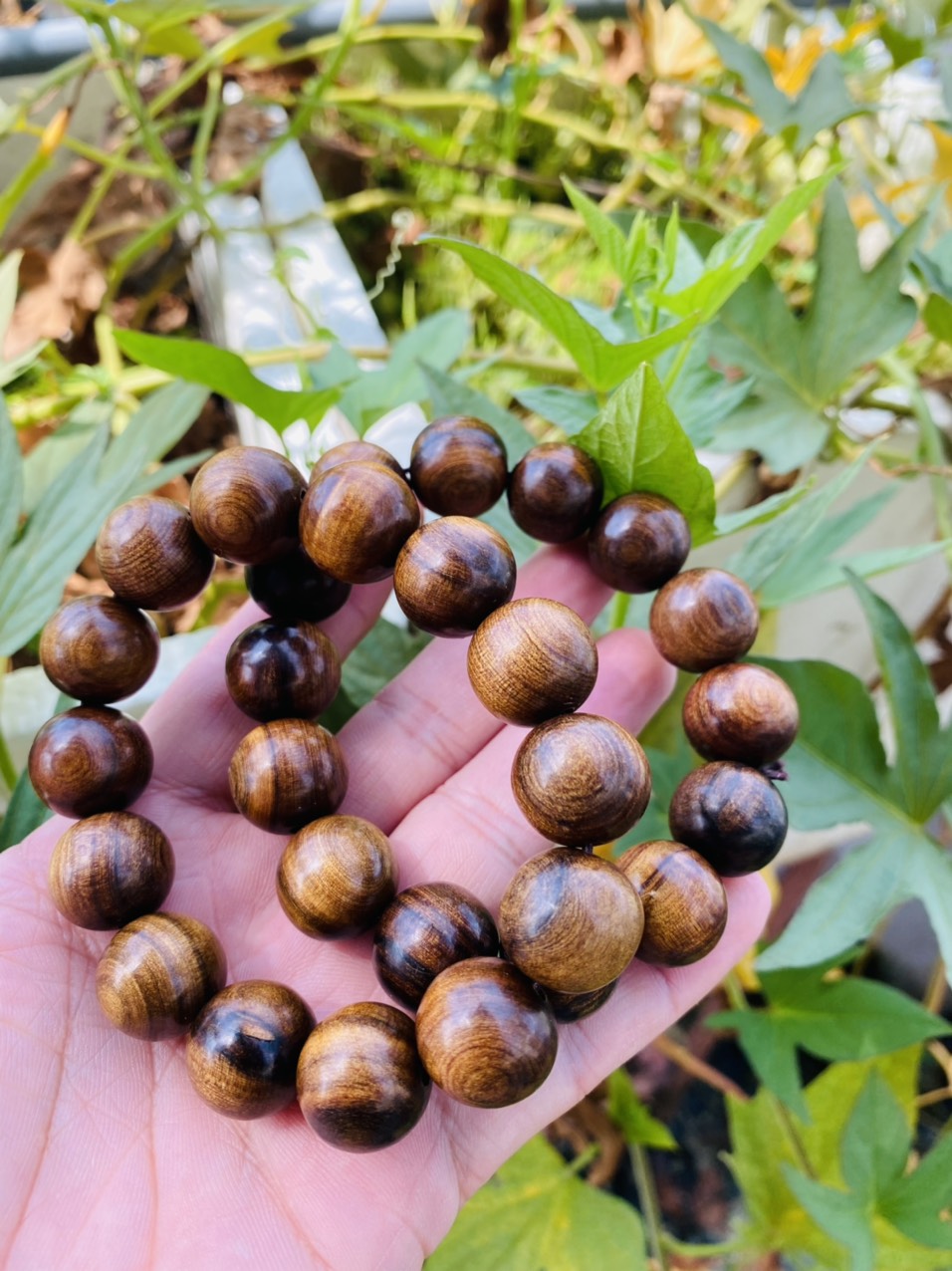 Vòng đeo tay bách xanh 16.5mm vân đẹp thơm ngát ( Hàng chuẩn bách xanh già)