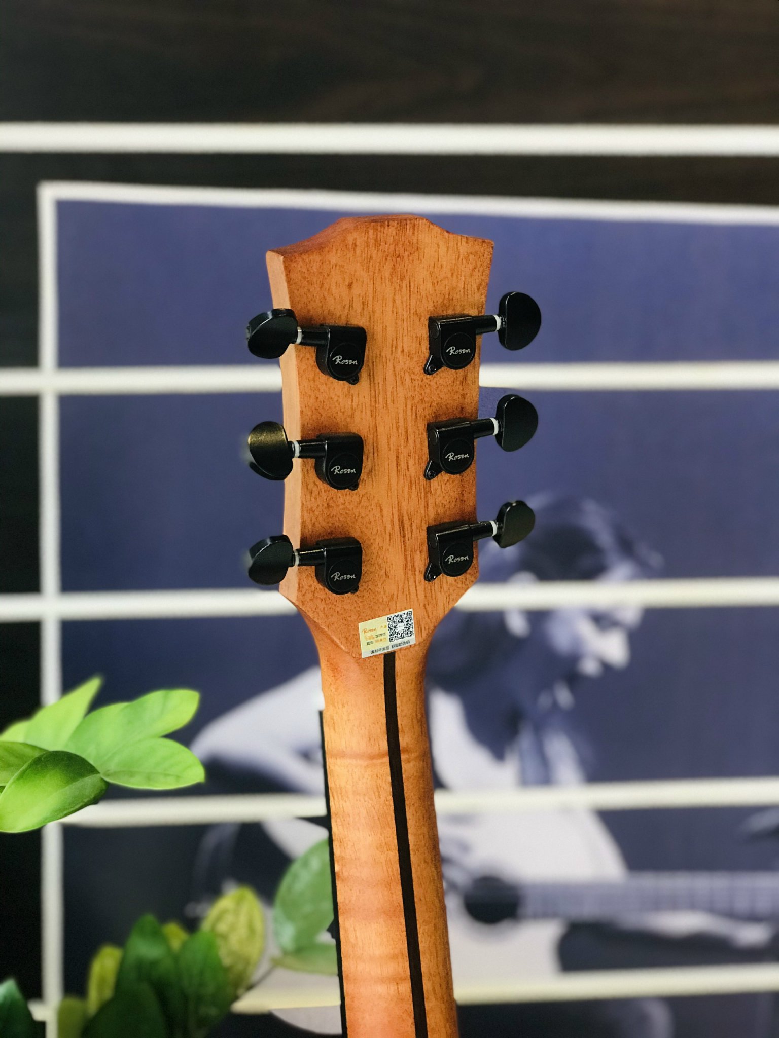 Đàn Guitar Acoustic Rosen G15