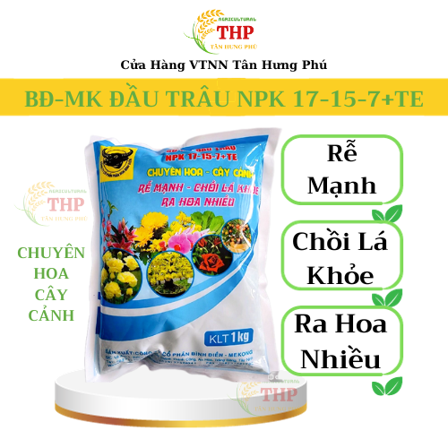 COMBO RA RỄ ĐÂM CHỒI | CHUYÊN RAU ĂN LÁ | COMBO CHĂM SÓC CÂY