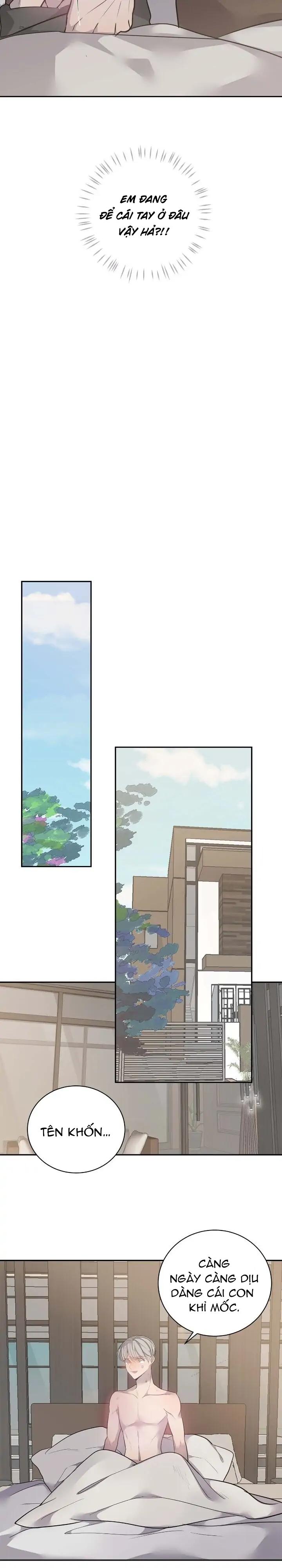 sao notp lại thành thật rồi? chapter 50 7