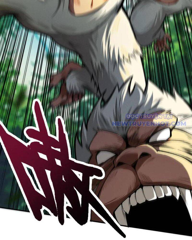 gặp mạnh thì càng mạnh, tu vi của ta không giới hạn chapter 16 70