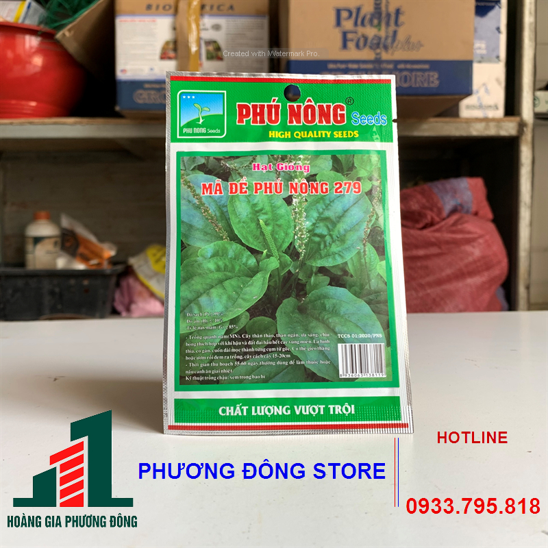 Combo 5-10 gói hạt giống rau mã đề Phú Nông 279 trồng quanh năm