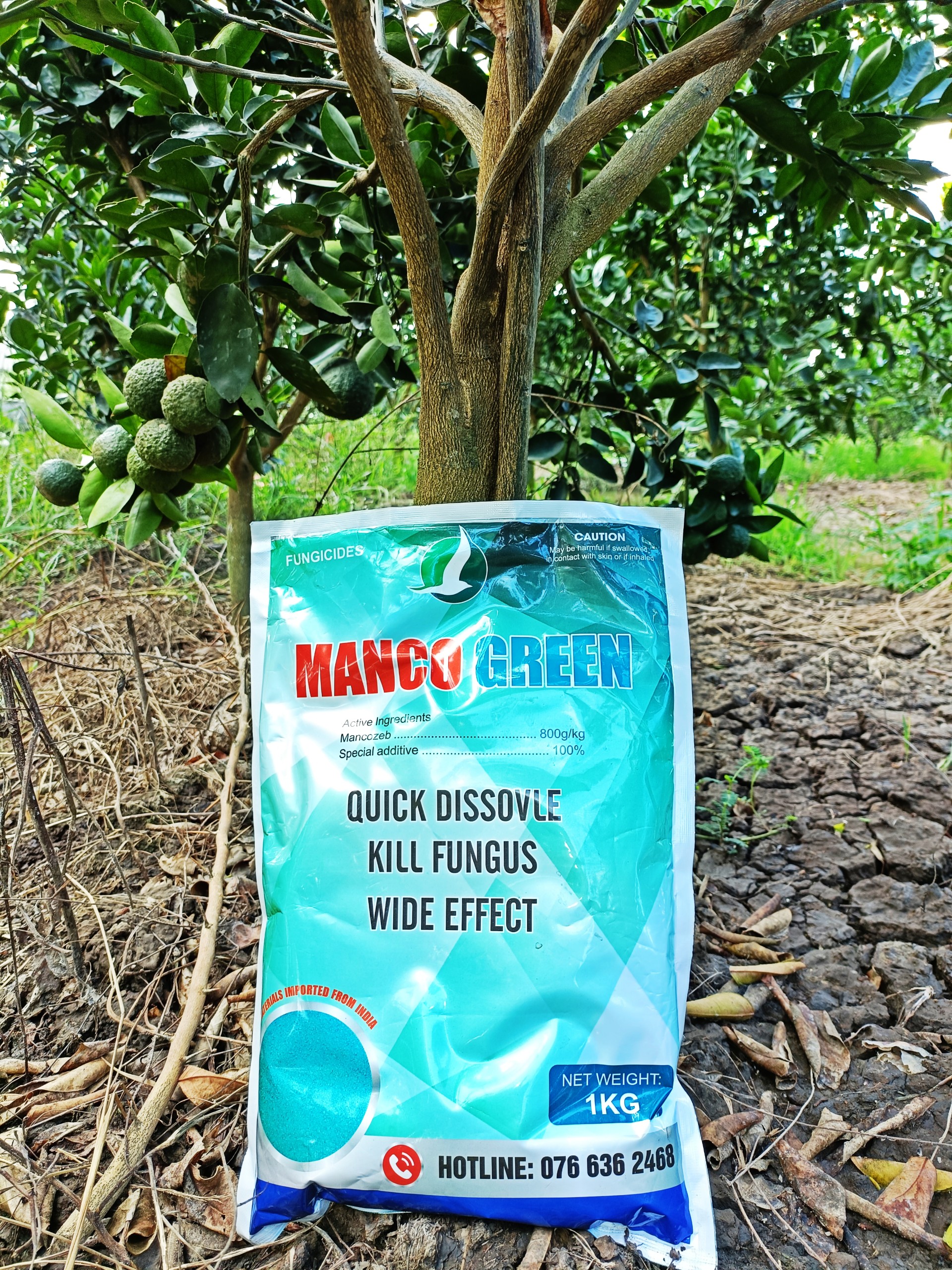 MANCOZEB XANH GÓI 1KG - Phòng t rị: Thán thư, Vàng lá, Rỉ sắt, Sương mai, Đốm lá,... Hạt siêu mịn bám dính cực tốt