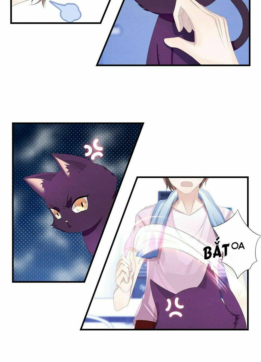 làm mèo của ta chapter 2 15