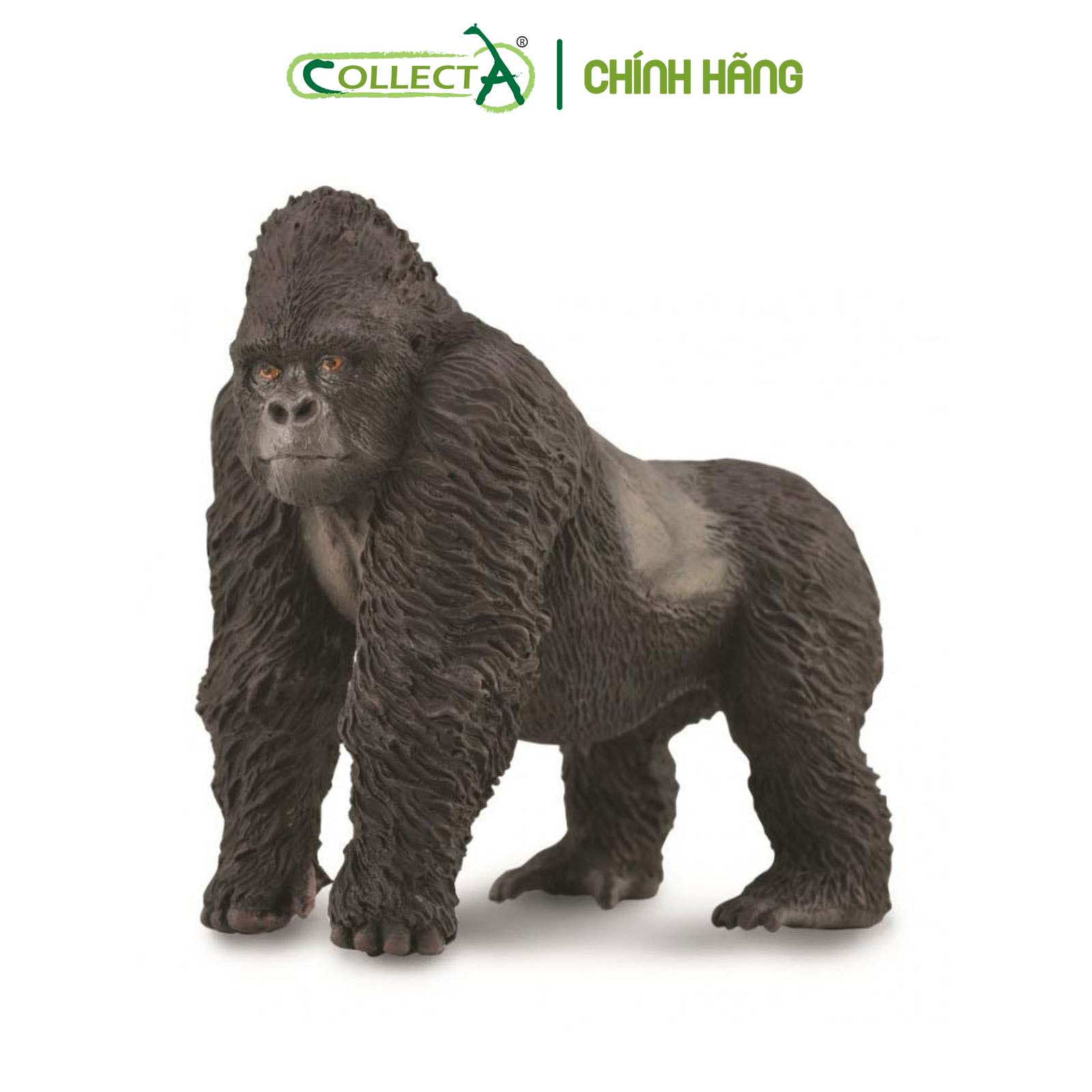 Mô hình thu nhỏ: Khỉ Đột Núi - Mountain Gorilla , hiệu: CollectA, mã HS 9651020[88899] -  Chất liệu an toàn cho trẻ - Hàng chính hãng