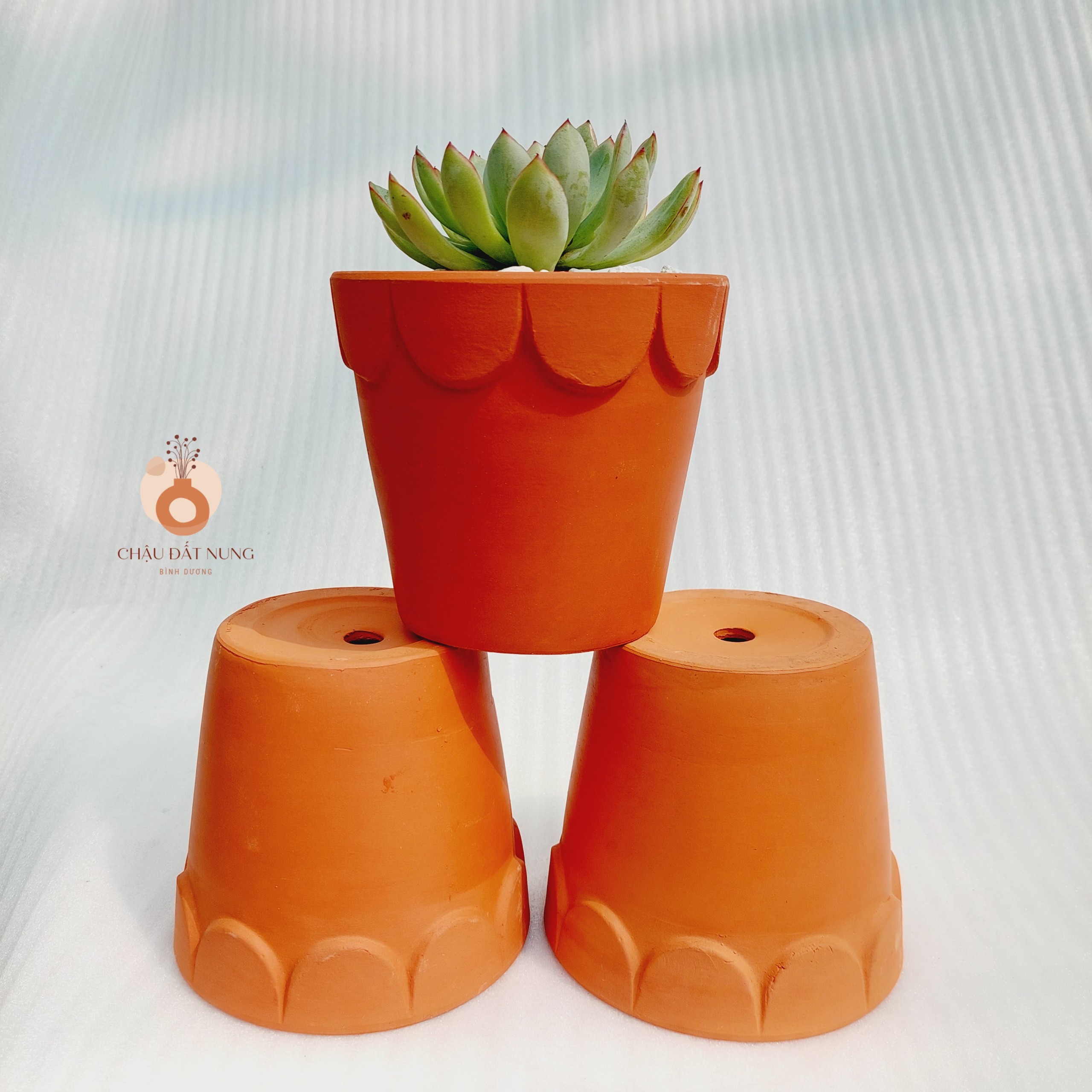 Chậu đất nung - Ly gờ hoa, miệng chậu 12cm, chiều cao 11cm