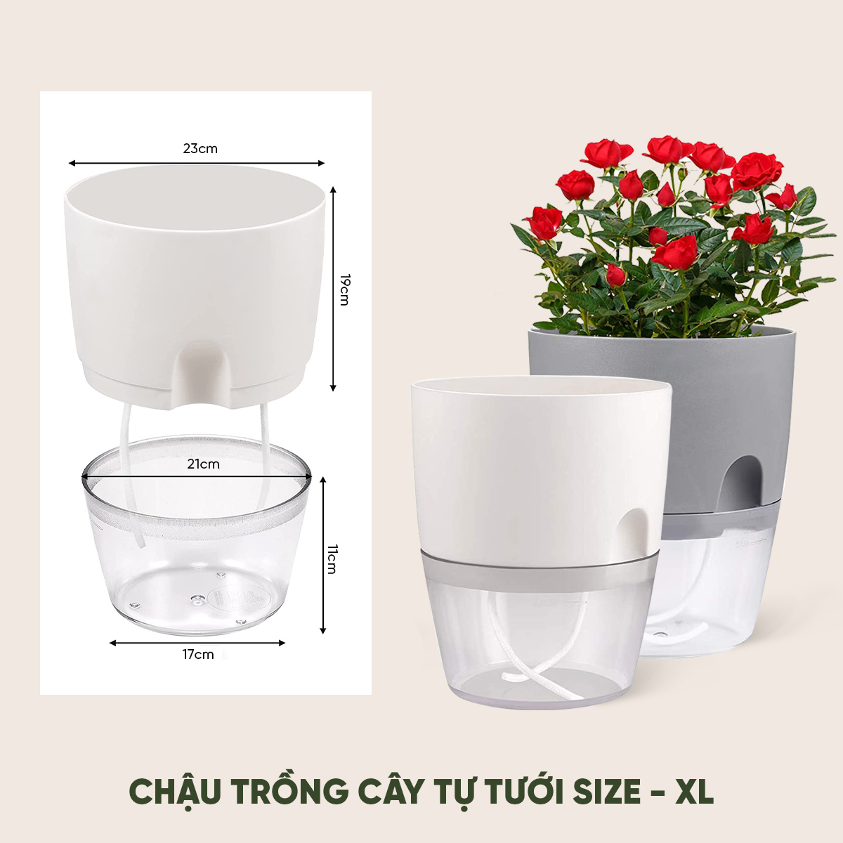 Chậu trồng cây tự tưới thông minh MONROVIA size Lớn, cho hoa, cây cảnh, bonsai, để bàn, ban công, Tiêu Chuẩn Châu Âu