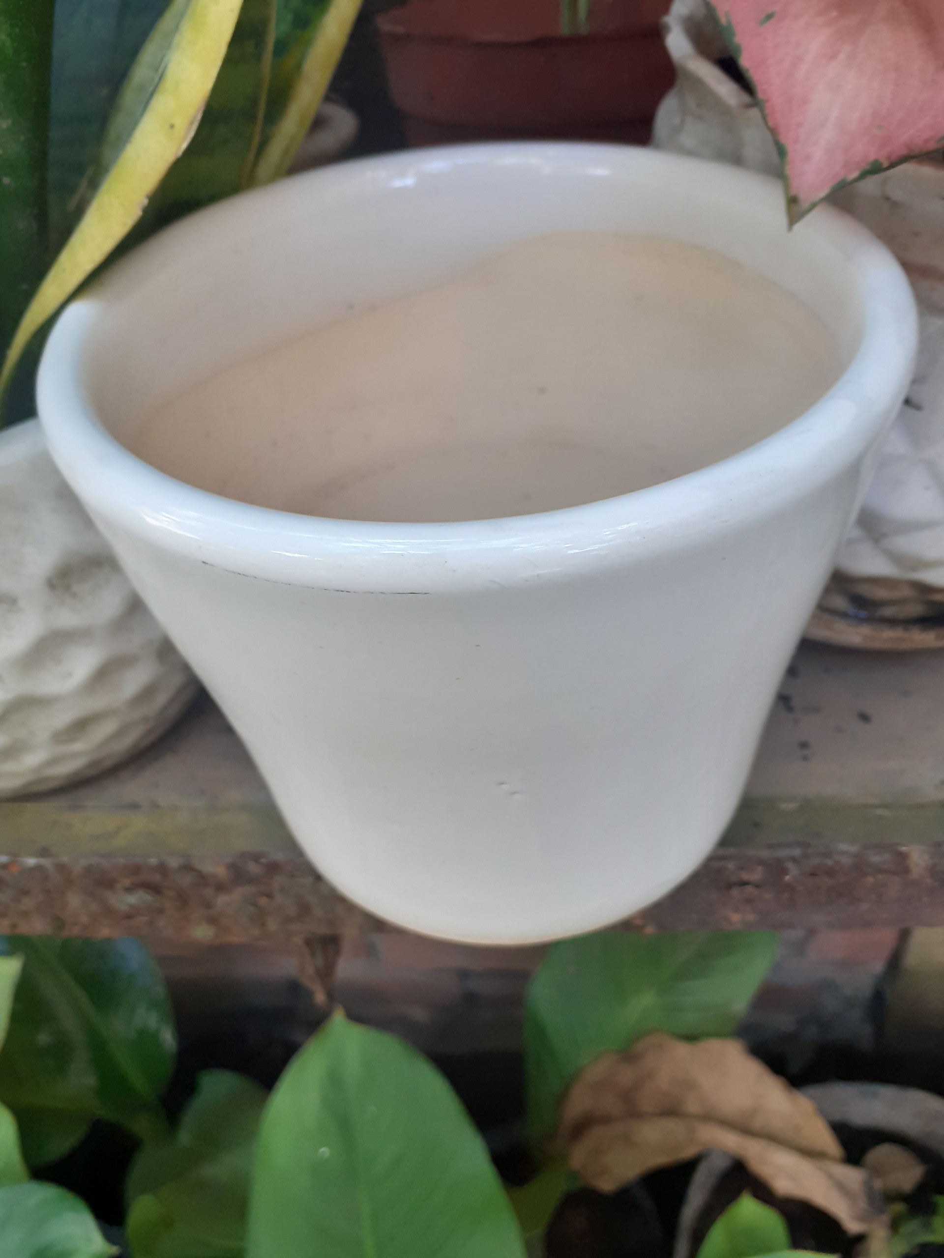 Chậu đất nung TRÁNG MEN MÀU TRẮNG.