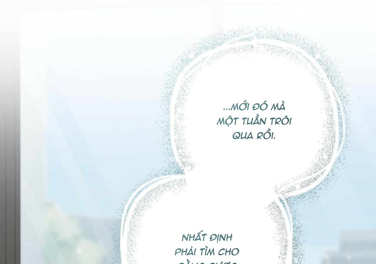 đàn thỏ của habibi chapter 20 201