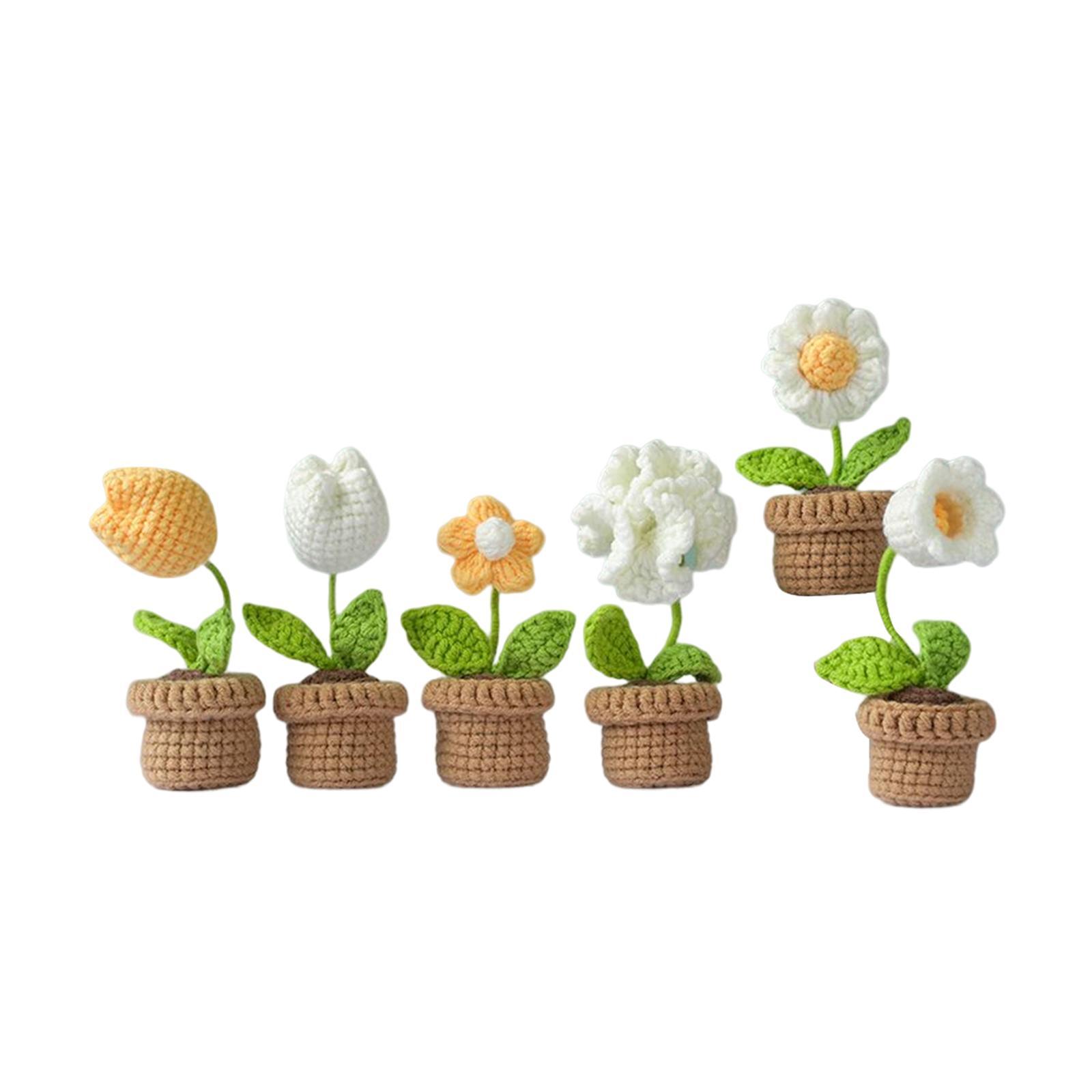 Crochet Kit Accessories Handmade Crocheted Planter for Kids Teens Beginners