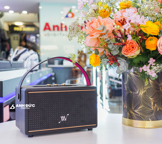 Loa Bluetooth Alpha Works Classic V60 - Hàng Chính Hãng