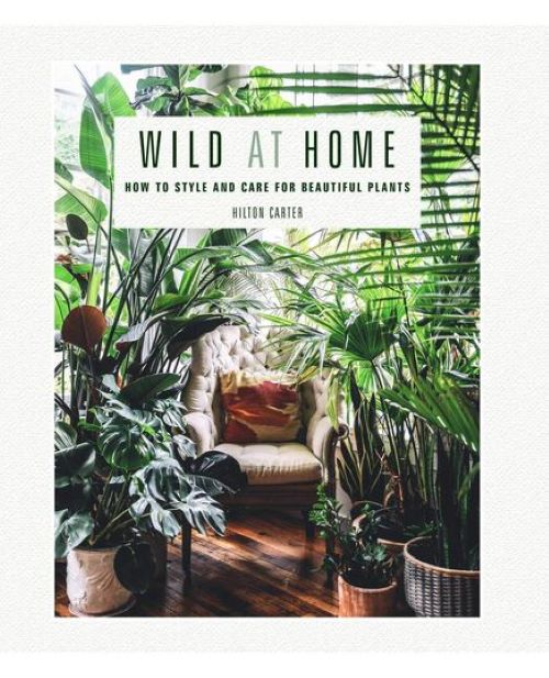Wild at Home : How To Style And Care For Beautiful Plants