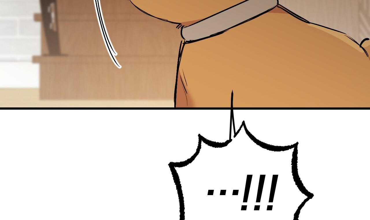 đàn thỏ của habibi chapter 45 66