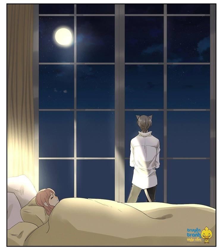 cứu mạng ! loài mèo thống trị thế giới rồi ! chapter 15 8