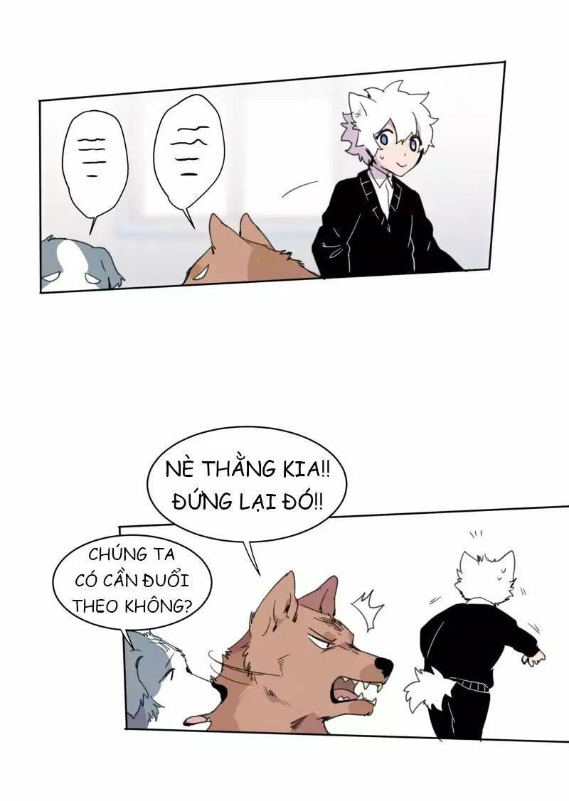 lumine - cội nguồn ánh sáng chapter 19 26