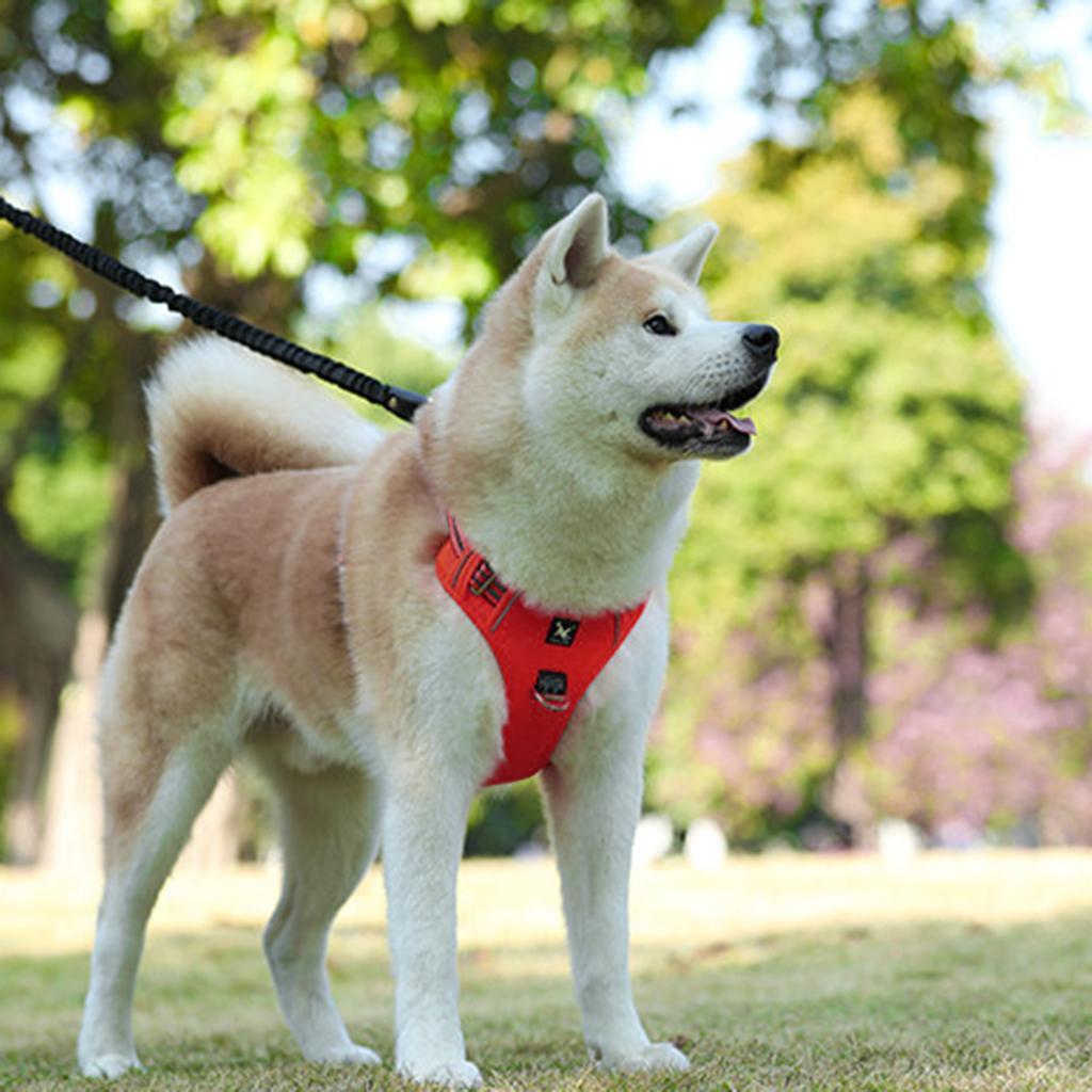 Adjustable Pet  Vest Harness for M - L Dogs Walking
