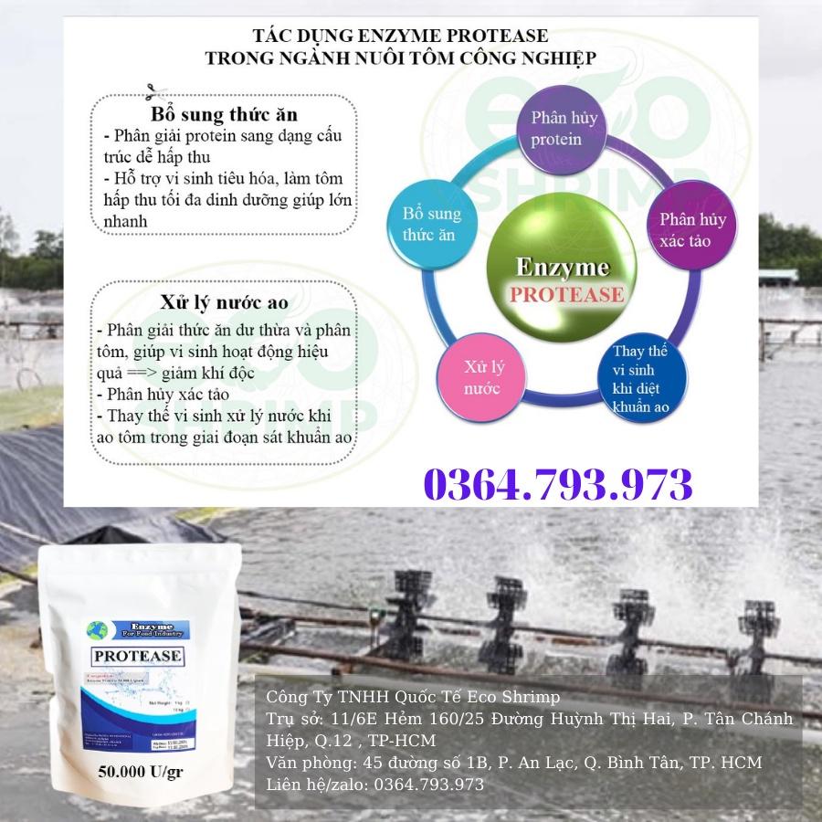 100g-Enzyme Protease Nguyên Liệu #gói 100g .