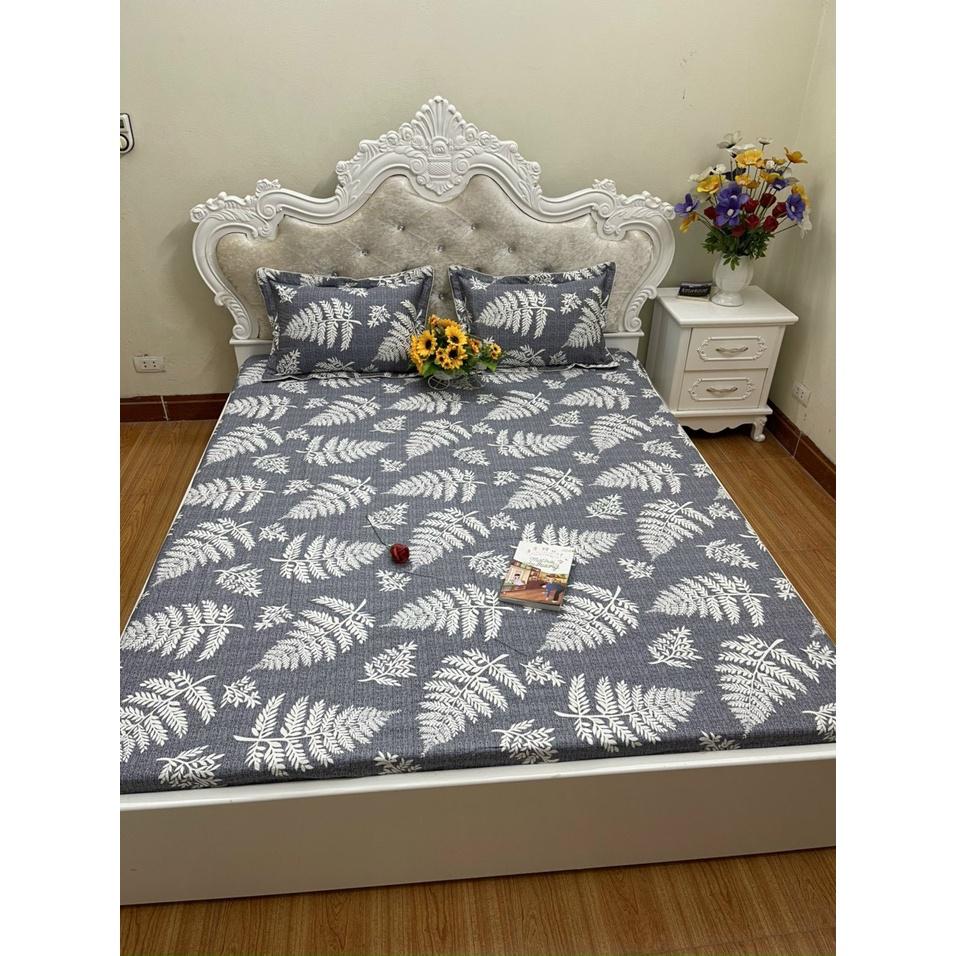 Bộ ga chun trơn và 2 vỏ gối 100% cotton hàn các kích thước