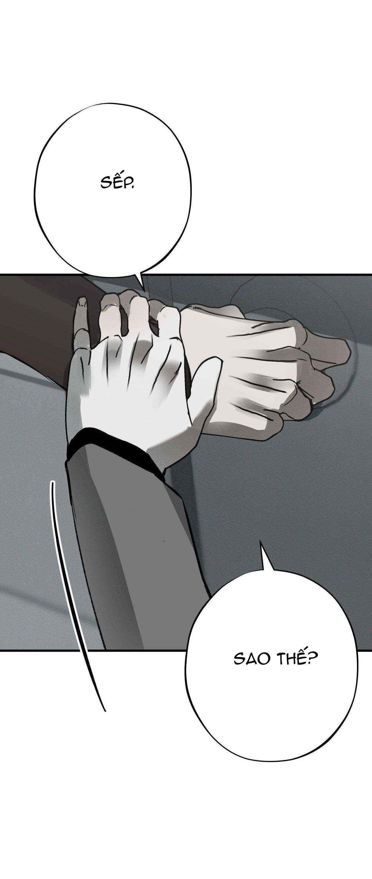 rủi ro chapter 16 16