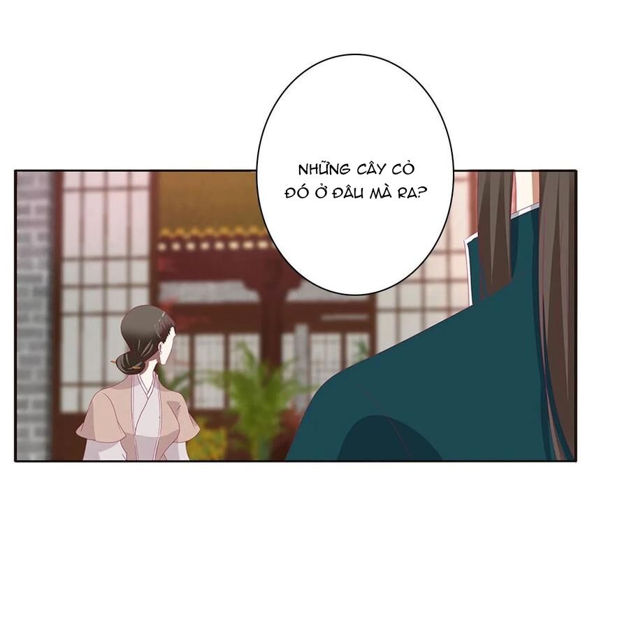 thông linh phi chapter 621 15