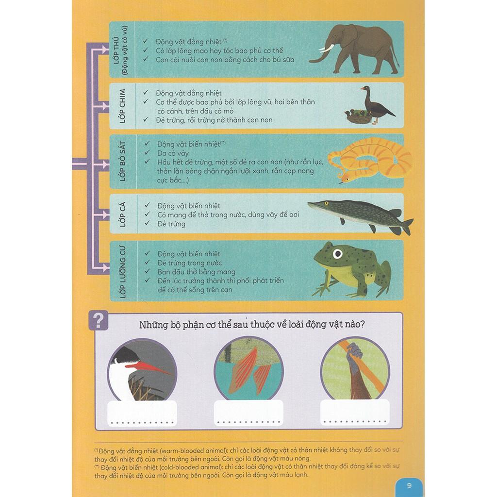 Khám phá rừng già động vật hoang dã - Bản Quyền