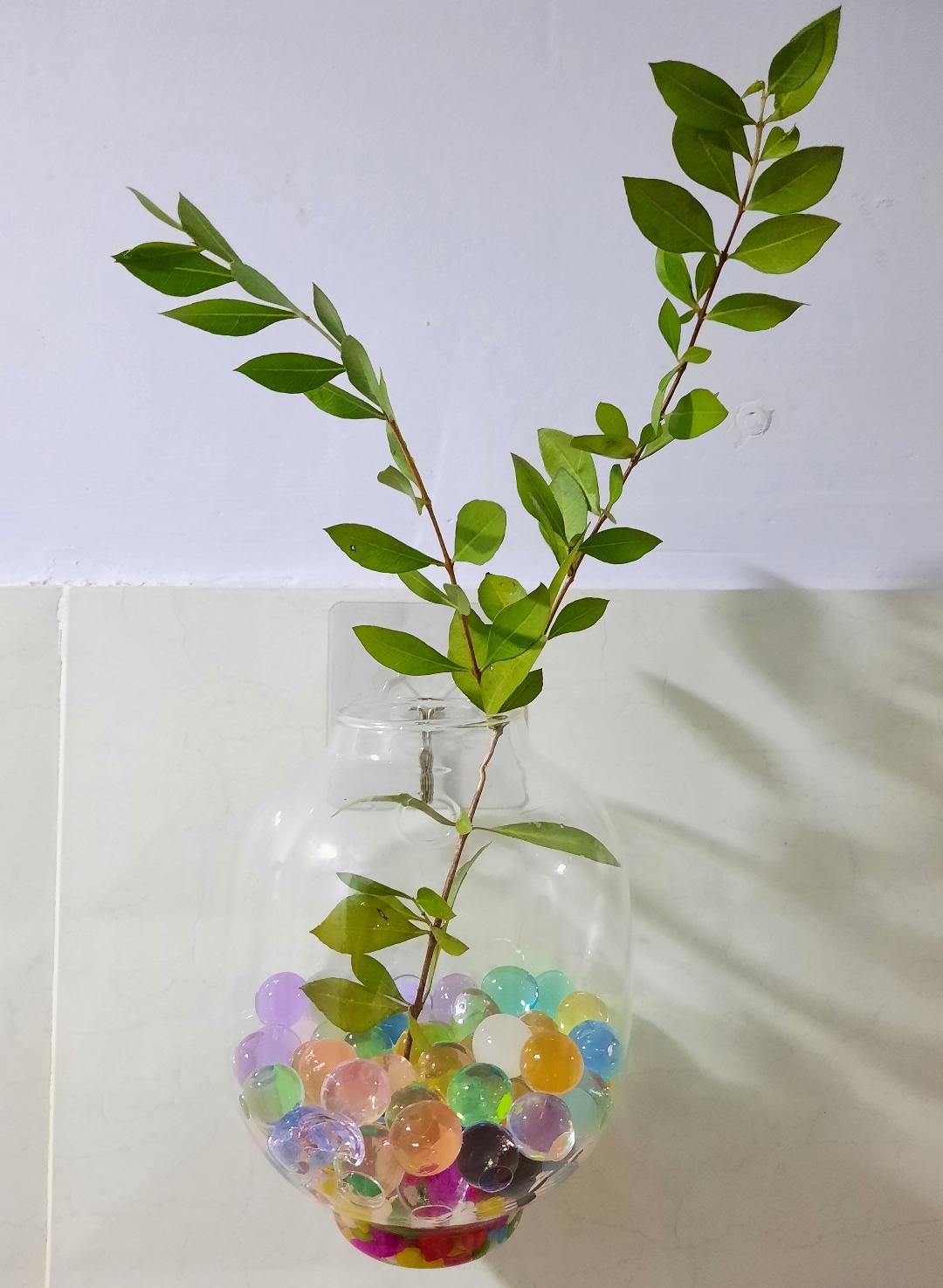 Chậu hoa thủy tinh treo tường