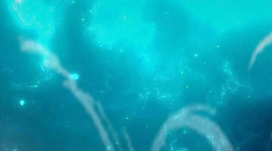 nhìn thấy thanh máu, ta xử tội thần linh chapter 99 125