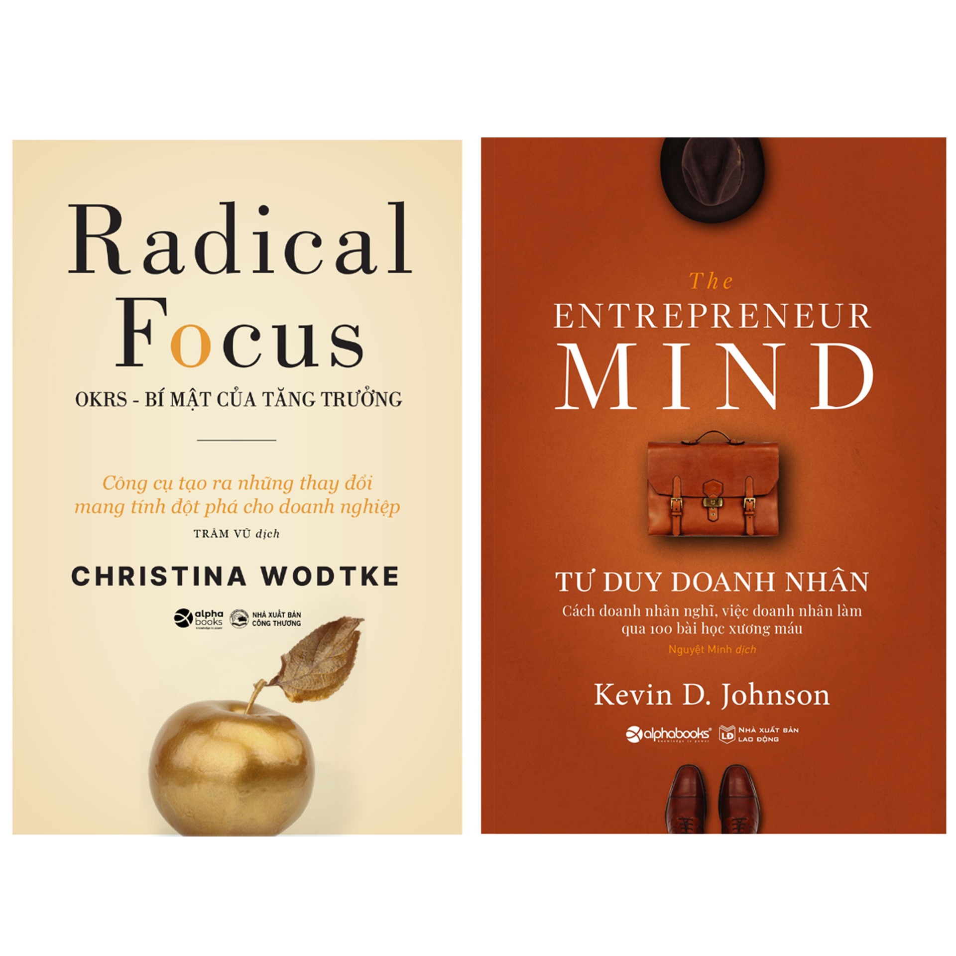 Combo Sách: Radical Focus - OKRs - Bí Mật Của Tăng Trưởng + The Entrepreneur Mind - Tư Duy Doanh Nhân