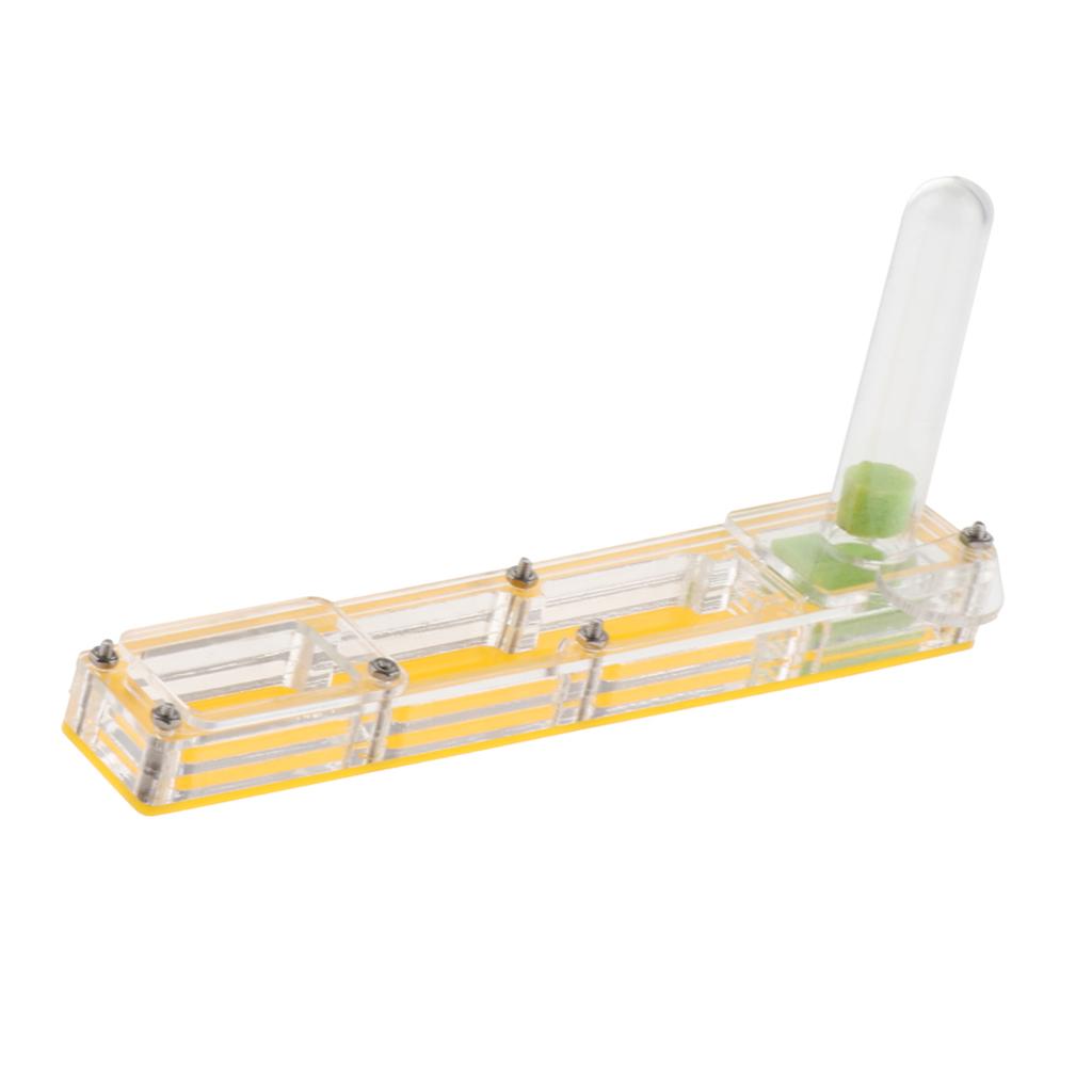Ant Housing Box Experiment Toy Farm Insect Terrarium Pet Toys Fun Gift Clear