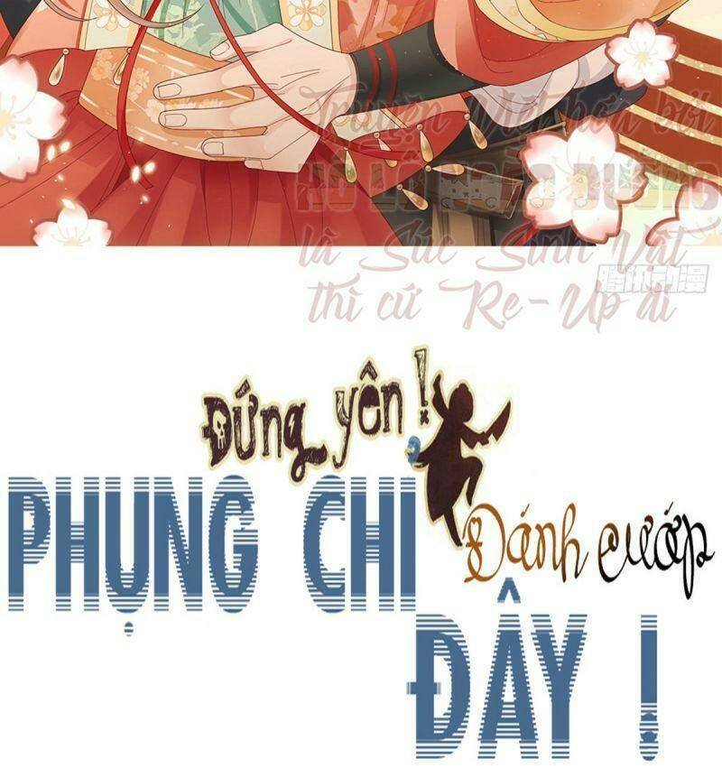đứng yên ! phụng chỉ đánh cướp đây chapter 33 2