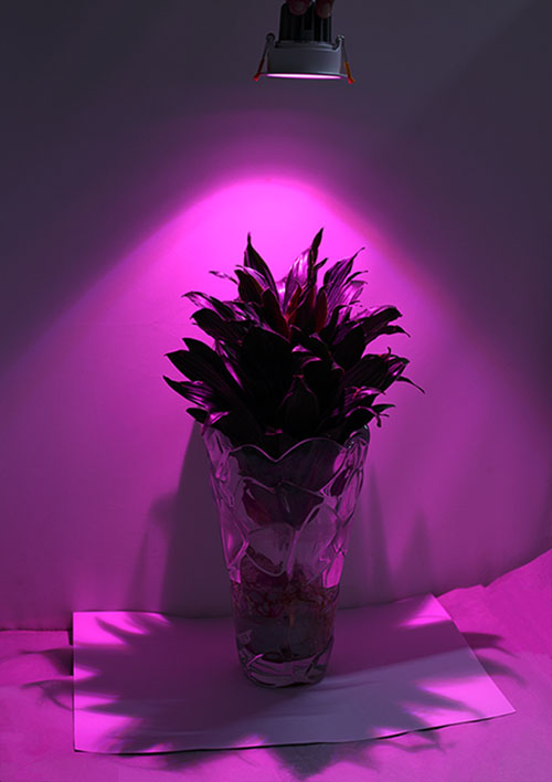 ĐÈN LED ÂM TRẦN TRỒNG CÂY 9W| GRLD10