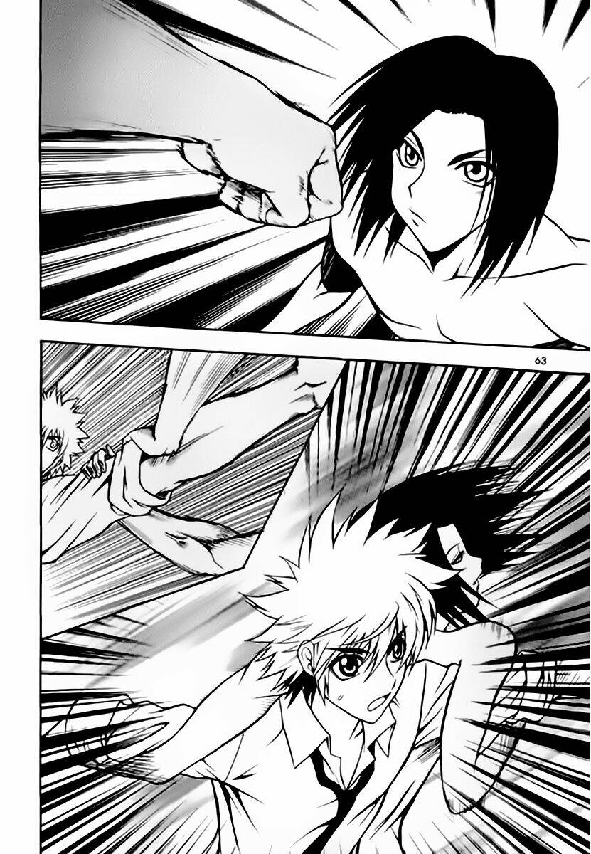 zippy ziggy chapter 56 18