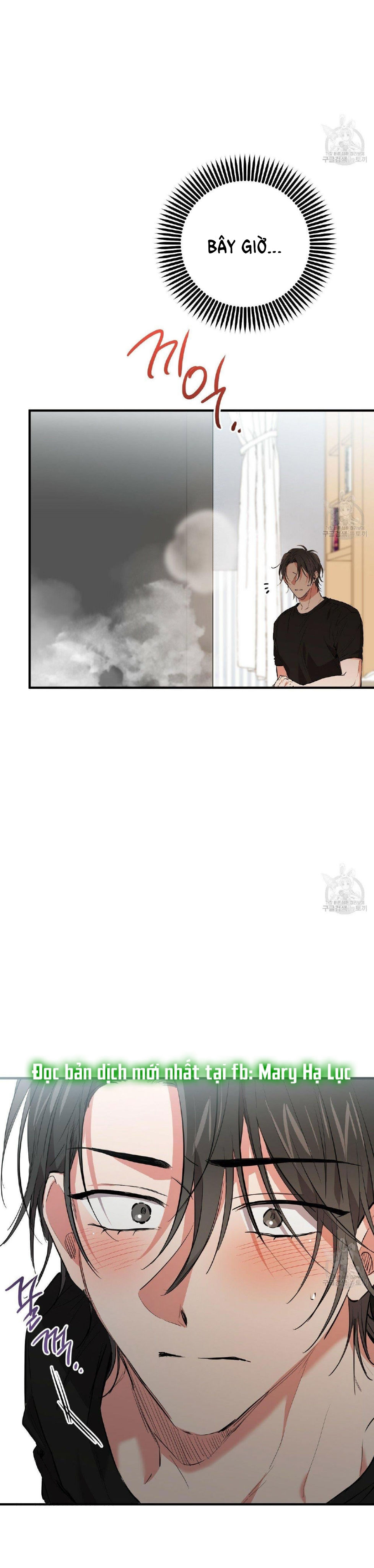 những chú thỏ của hapypy chapter 51.2 29