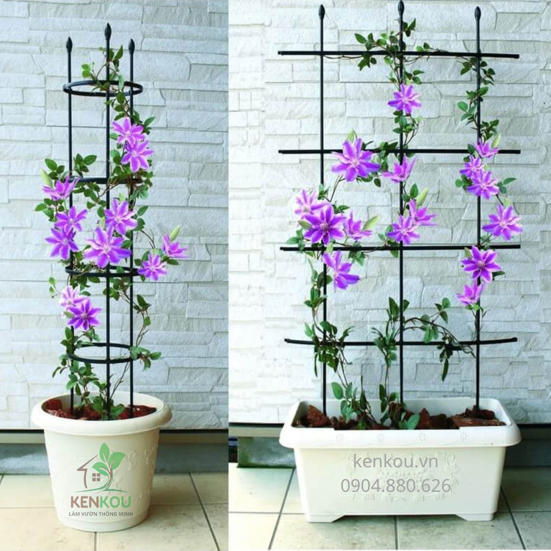 Giàn hoa leo đàn hồi Hàng Chính Hãng DAIM Nhật Bản Combo 2 bộ W60cm x H120cm Lõi thép bọc nhựa làm giàn cây leo