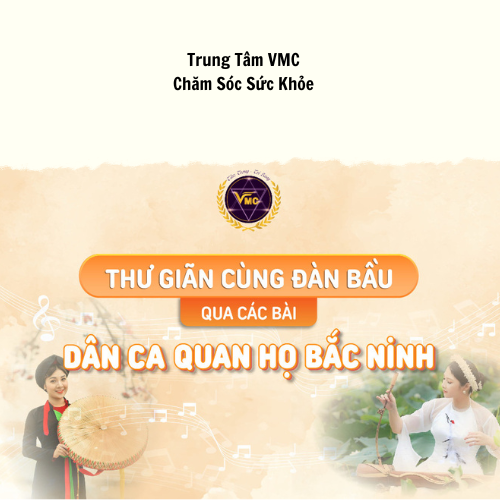 Khóa Học Video Online Thư Giãn Cùng Đàn Bầu Qua Các Bài Hát Dân Ca Quan Họ Bắc Ninh - Trung Tâm Chăm Sóc Sức Khỏe VMC