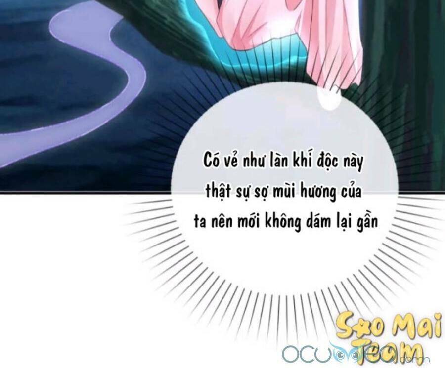 long vương truy thê chapter 7 18