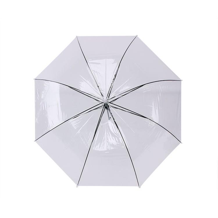 Ô Dù Trong Suốt Phong Cách Hàn Quốc