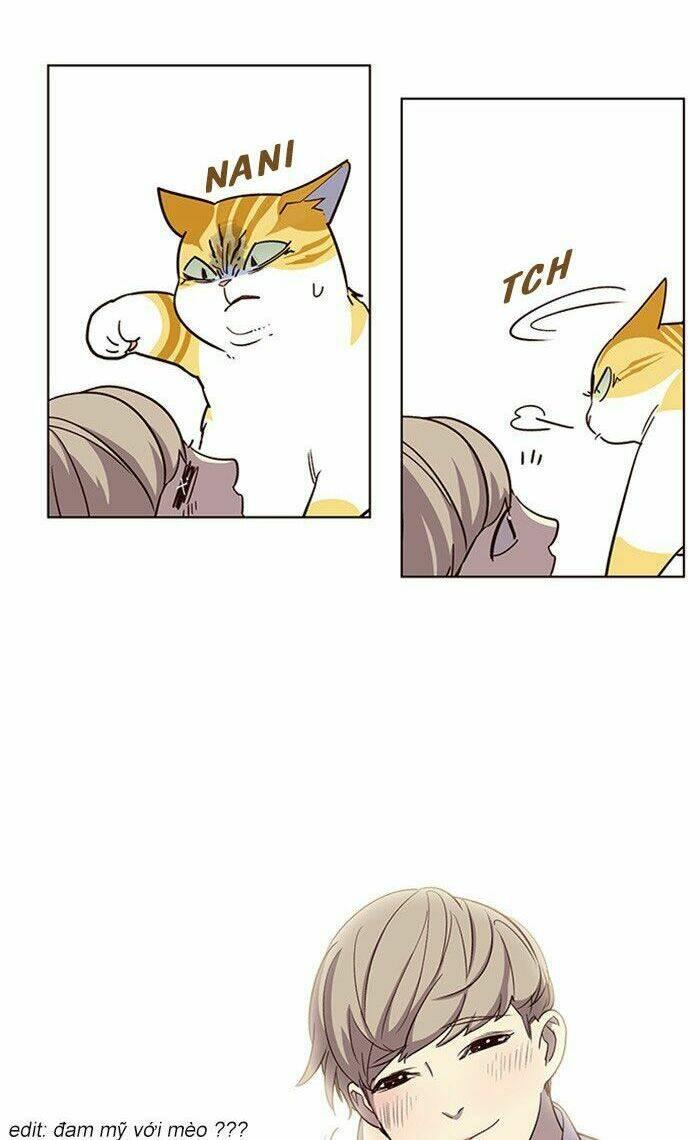 biến thân thành mèo chapter 10 12