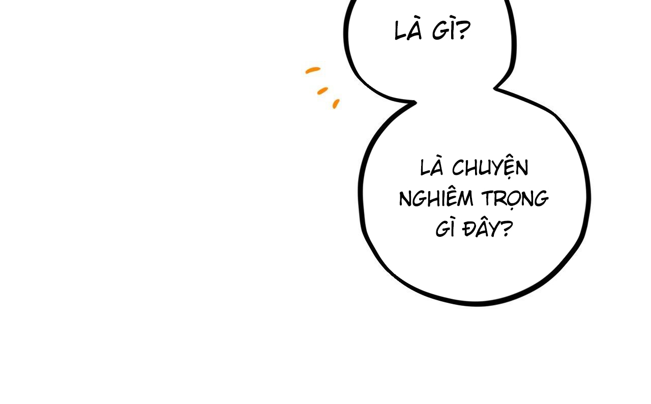 những chú thỏ của hapypy chapter 52 186