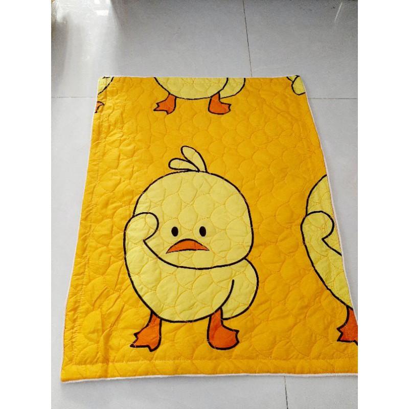 2 Cái Áo Gối Cotton Chần Bông Cao Cấp 60x 40cm