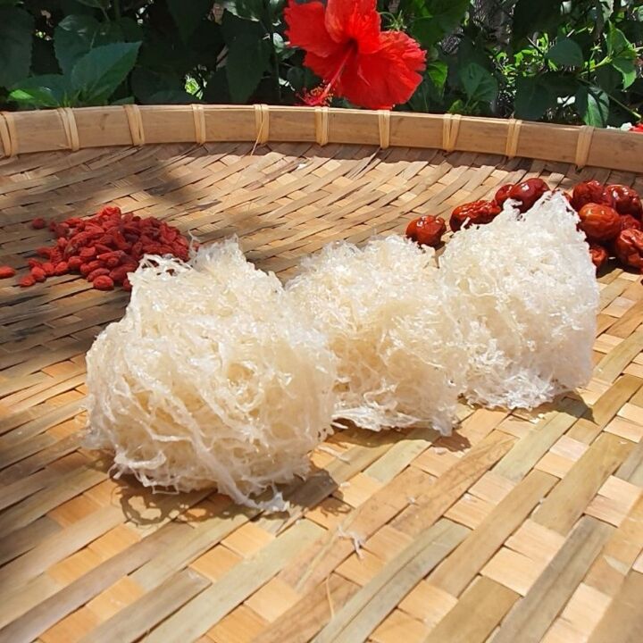 Yến sào sạch Hồ Phụng Tiên 100g nguyên chất