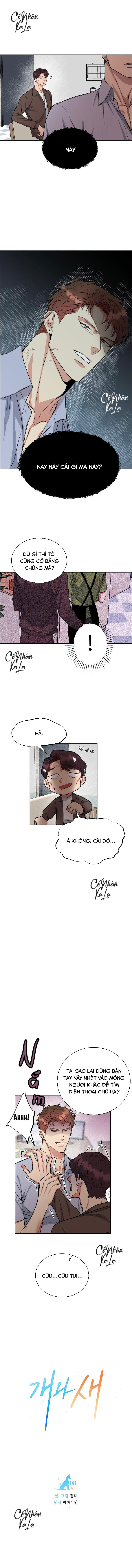 bird and dog chapter 8 1