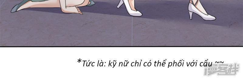 con đường phản công của sủng thê chapter 3 22