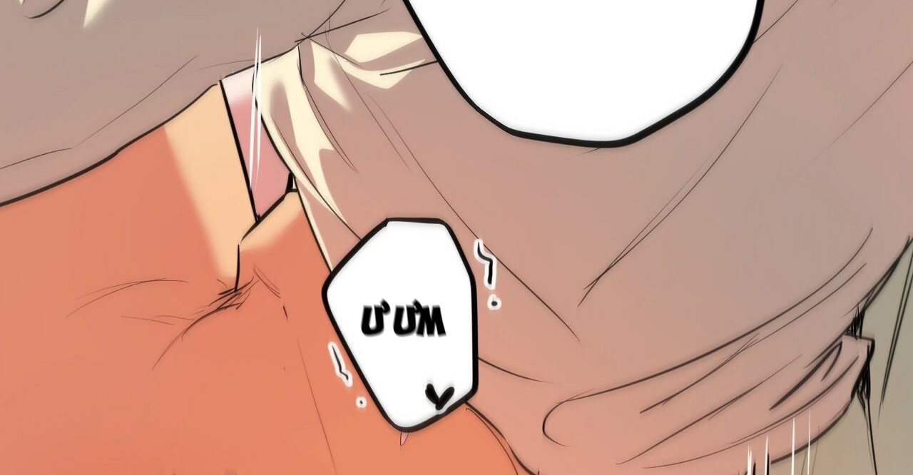 đàn thỏ của habibi chapter 38 256