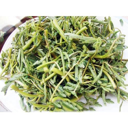 Hạt Giống Rau Nhút - Rau Rút Dút CT61 - Gói 50 hạt