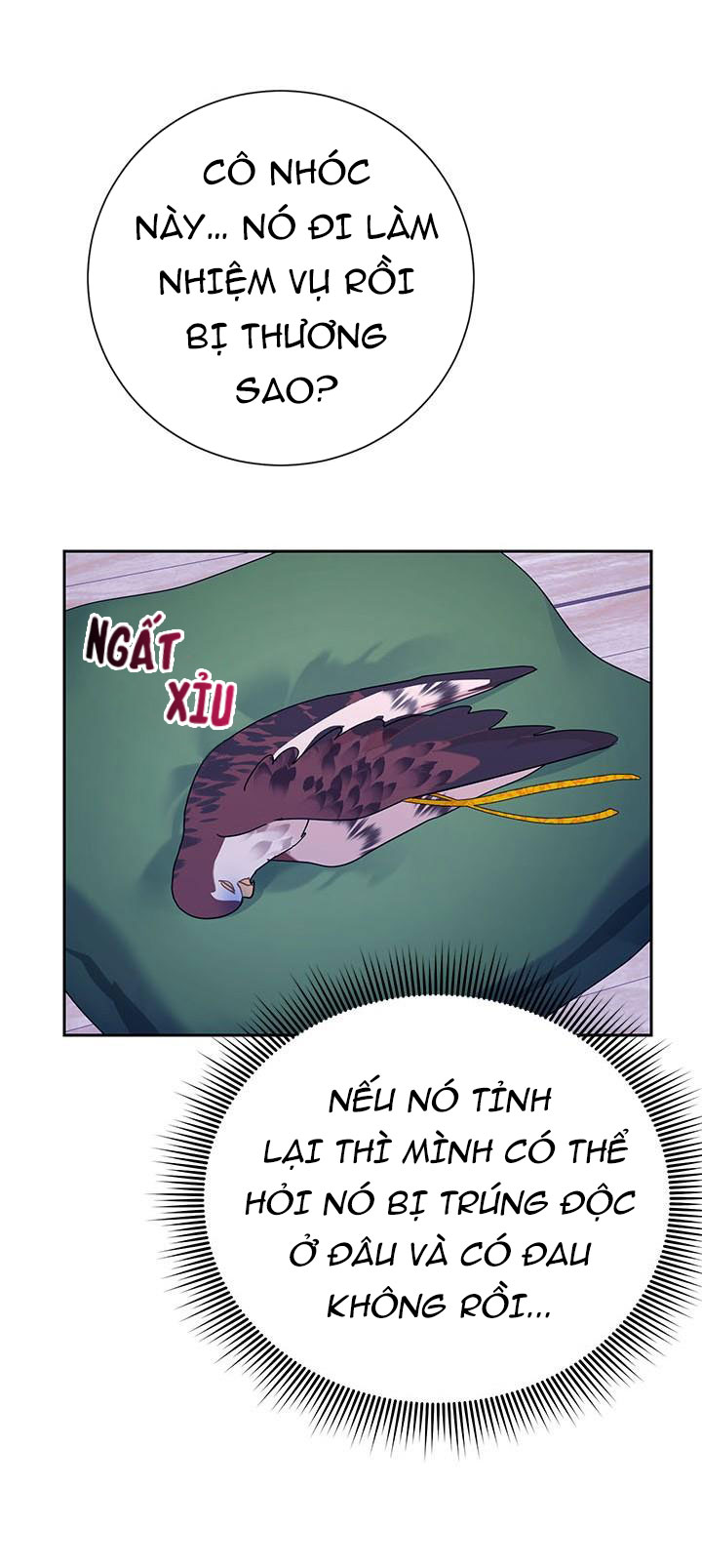 công chúa của loài chim chapter 38.2 2