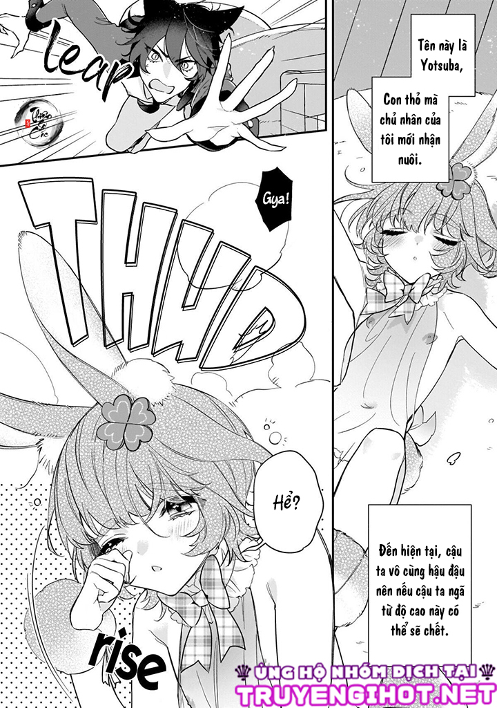 [ 18+ ] thỏ và mèo?! chapter 1 4